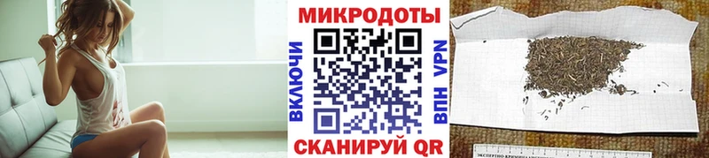 Галлюциногенные грибы Cubensis  где можно купить   Элиста 
